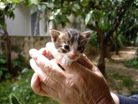 Copy of IMGP0906.JPG