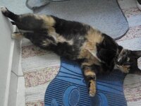 Εικόνα 007.jpg