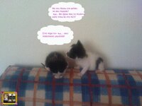 στορυ αχν8jpg.jpg