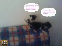 στορυ αχν9.jpg