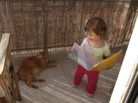 dim kai bo sto balkoni.JPG