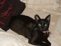 MAVRULA GIA YIOTHESIA FOR ADUPTION.JPG