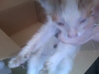 Photo on 2010-05-12 at 13.42 #3.jpg