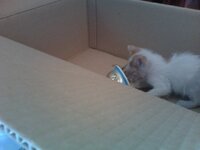 Photo on 2010-05-12 at 13.41.jpg