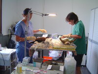 Neutering programme with Dona and Catalina 008.JPG