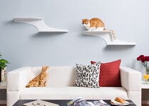cat-clouds-cat-shelf-walk-HR3.jpg