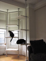 cattower.jpg