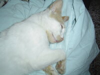 Sterilizations on 15th of May 016.JPG