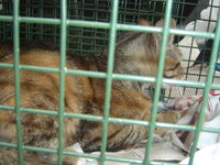 Sterilizations in UVC on 21th of May 003.JPG