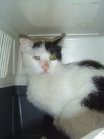 Sterilizations in UVC on 21th of May 005.JPG