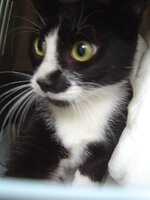 Sterilizations in UVC on 21th of May 008.JPG