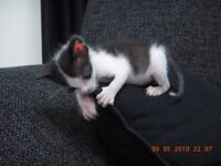 Εικόνα 089.jpg