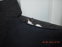 Εικόνα 113.jpg