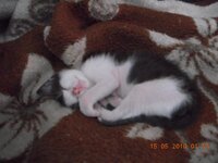 Εικόνα 190.jpg