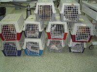 Sterilizations in UVC on 28th of May 001.JPG