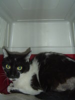 Sterilizations in UVC on 28th of May 004.JPG