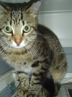 Sterilizations in UVC on 28th of May 006.JPG