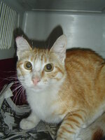 Sterilizations in UVC on 28th of May 007.JPG