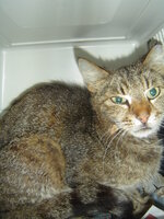 Sterilizations in UVC on 28th of May 008.JPG