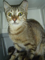 Sterilizations in UVC on 28th of May 012.JPG