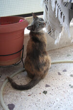 IMG_0918.jpg IMG_0918.jpg