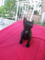 100_4255.jpg 100_4255.jpg