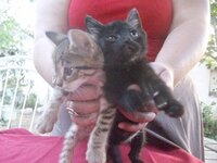 100_4259.jpg 100_4259.jpg