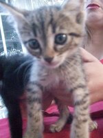 100_4282.jpg 100_4282.jpg