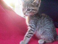 100_4265.jpg 100_4265.jpg