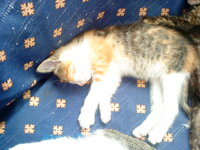 DSC00186.JPG DSC00186.JPG