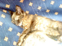 DSC00187.JPG DSC00187.JPG