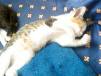 DSC00188.JPG DSC00188.JPG