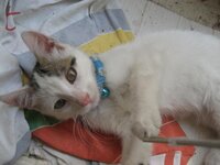 Εικόνα 083.JPG