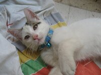 Εικόνα 084.JPG