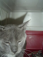 Sterilizations with the vets from the UVC on 6 of July 021.JPG