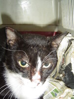 Sterilizations with the vets from the UVC on 6 of July 025.JPG