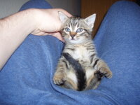 Τγριτσα Μπου2.JPG