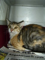 Sterilizations with the vets from the UVC on 9 of July 023.JPG