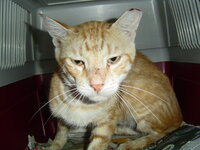 Sterilizations with the vets from the UVC on 9 of July 025.JPG