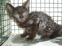 The  reality in Greece 016.JPG