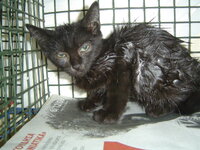 The  reality in Greece 018.JPG