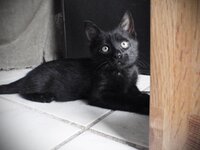 παρε με σπίτι Ι.jpg