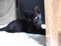 καλέ ακόμη εδώ ειμαι.jpg