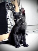 το καλό μου προφίλ.jpg