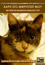 μικροτσιπ.jpg