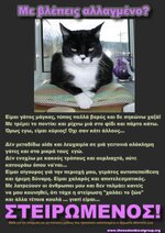 γατοςστειρωμενος2.jpg