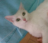 DSCN8488.JPG DSCN8488.JPG