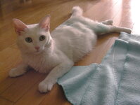 DSCN8478.JPG DSCN8478.JPG