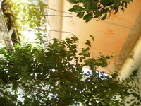 οχυρωματικα 1.jpg