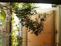 οχυρωματικα  2.jpg